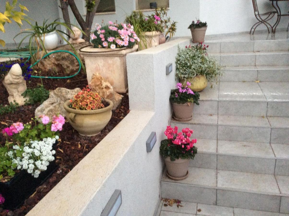 המקום של מוש Pardes Hanna Exterior photo